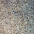 Abingdon Flooring Windermere Marshmallow 6'3 x 13' 20% Wool